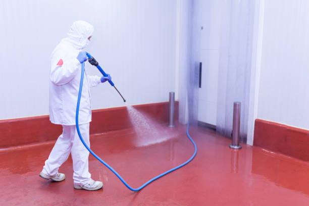 Boat and Dock Cleaning in Adams, WI